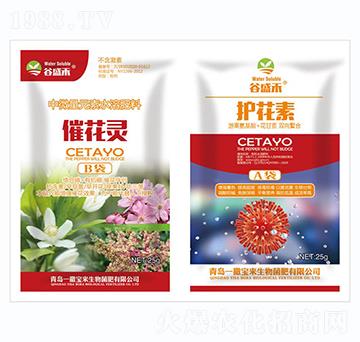 �߻��`+�o����-һ������