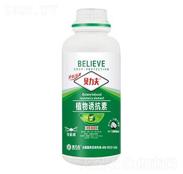 ֲ���T����-ؐ����-��?t��ng)��S