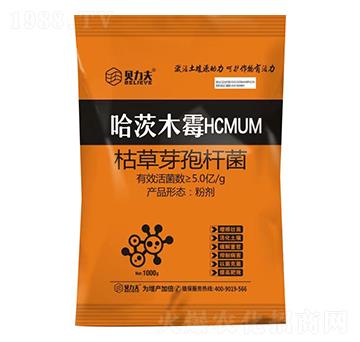 ����ľùHCMUM-ؐ����-� ��S