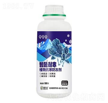 �ǿ��ͺ�ֲ�����������-��?t��ng)��S