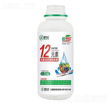 12Ԫ��-ؐ����-��?t��ng)��S