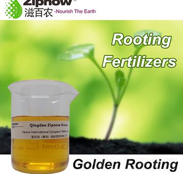 �S������-������-�̰�