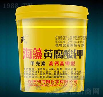 ���}����ͺ����S�����-������-�����r(n��ng)��