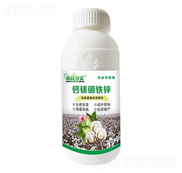 �}�V���F�\-����Ϧ��-�����r(n��ng)�I(y��)