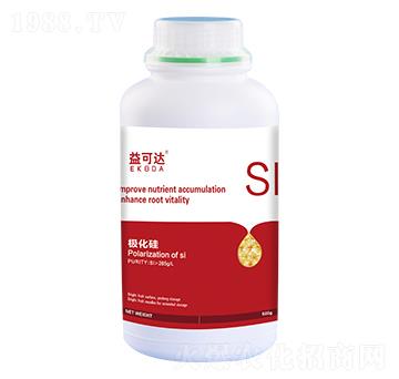 �O����-����_(d��)-�к̄�(d��ng)��