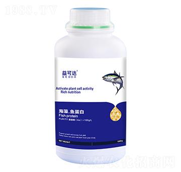 ���塤�~����-����_(d��)-�к̄���