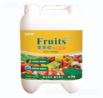 �~(y��)������-������-�~���r(n��ng)-�Έ�����