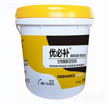 ø�⺣���~����-��(y��u)���a(b��)-�Έ�����