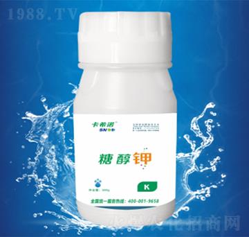 �Ǵ��-��ϣ�Z