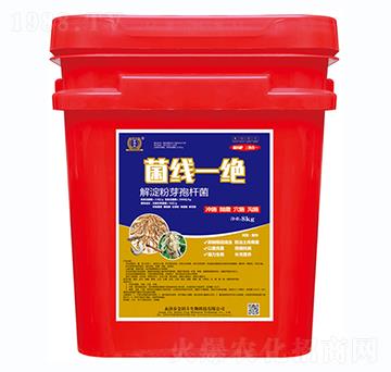 ����һ�^-�����S