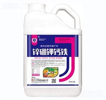 �\����}�F-�����S