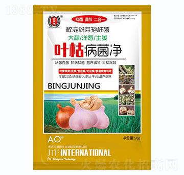 ���������[������-�~�ݲ�����-�����S