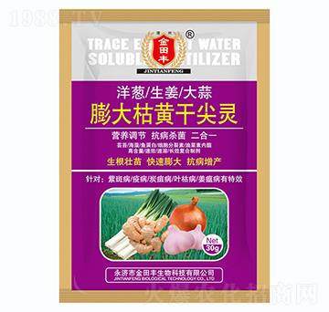 �����S�ɼ��`-�����S