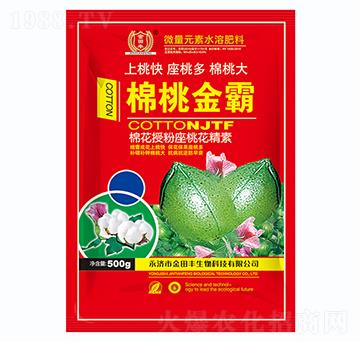 �޻��ڷ����һ�����-���ҽ��-�����S