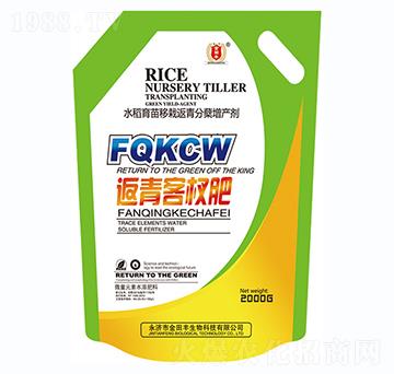 �����辷�-�����S