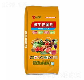 ΢�������-�Ј�R��