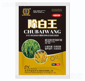 ������-�����S