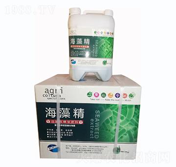 ���徫-�G�؈@