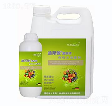 �ϰ��Y������-�D�͵�