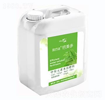 �}�V��-�D�͵�