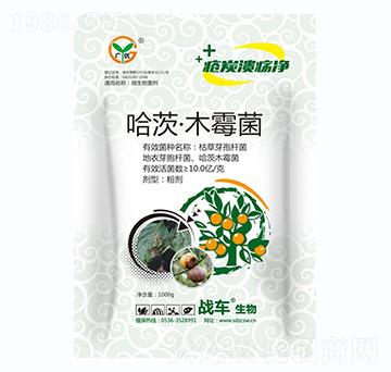 ����ľù��-��̿������-��(zh��n)܇