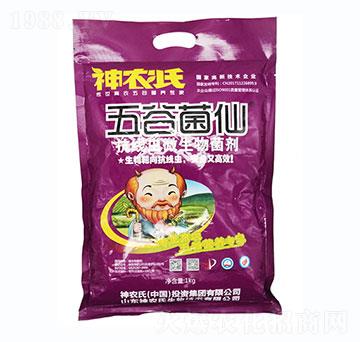 �����x(ch��ng)΢�������-��Ⱦ���-���r(n��ng)��