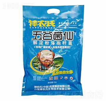 解淀粉芽孢桿菌-五谷菌仙-神農氏