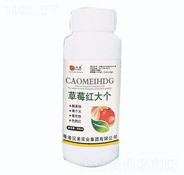 ��ݮ�t��-�h����(sh��)�I(y��)