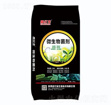 ΢�������-ϲ�t�S-���r��