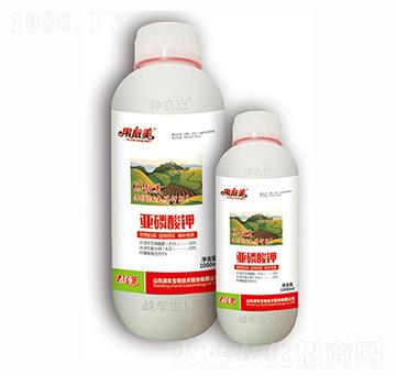 �������-��(zh��n)܇