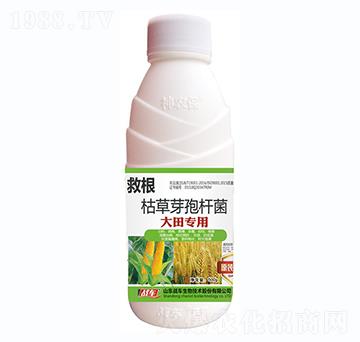 ����ÿݲ�ѿ�ߗU��-�ȸ�-��(zh��n)܇