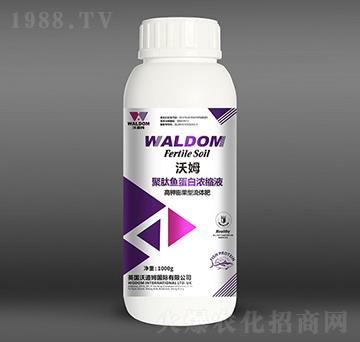 ��������~���ם�sҺ-��ķ-�ֵ�ķ