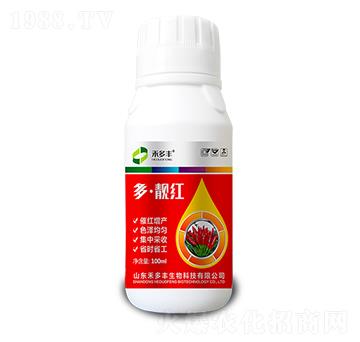 ���n�t-�̶��S