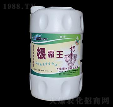 ������-������