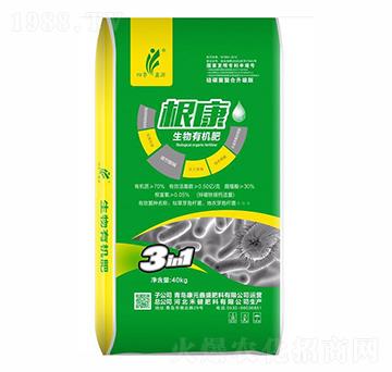 ���������ЙC��-��Ԫ��ʢ