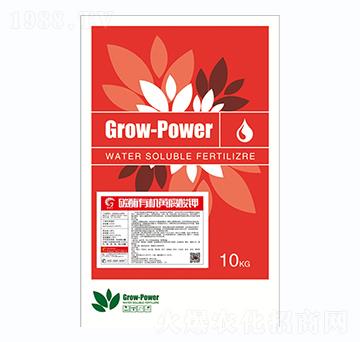 ̼ø�ЙC(j��)�S����-��ȶ�