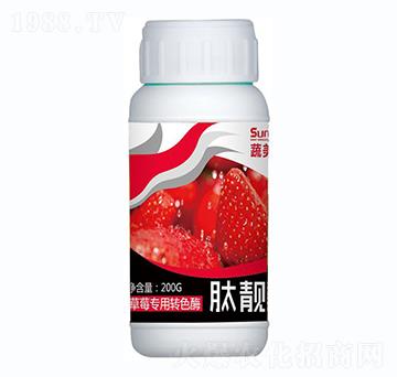 ��ݮ�����Dɫø-���n��-������