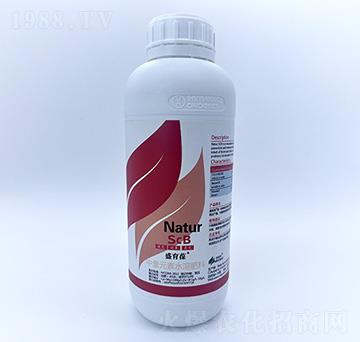 ����Ԫ��ˮ�ܷ���-ʢ����-��Ȼ��