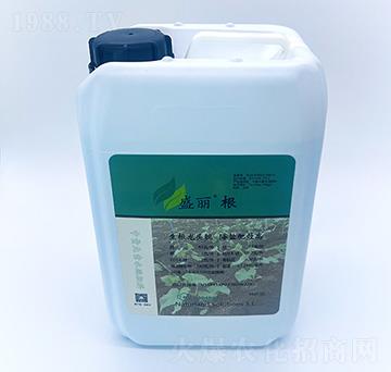 ʢ����-��Ȼ��