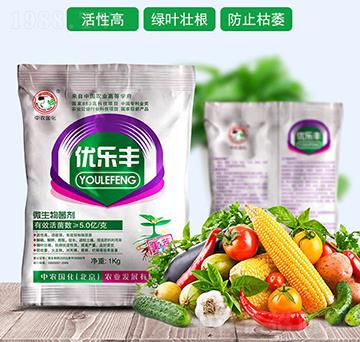 ΢�������-��(y��u)���S-���r����