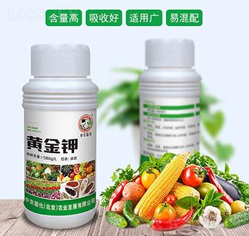 �S���-���r(n��ng)����