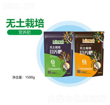 �o������I�B(y��ng)��-�S������