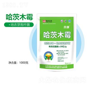 ����ľù-�S������