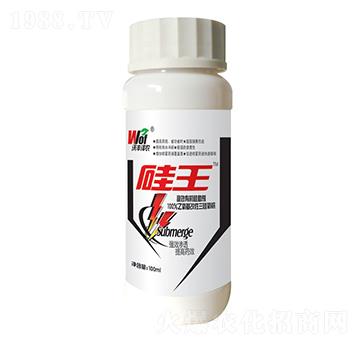 ����-���S���r(n��ng)-���S����