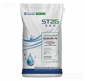 ����Ԫ��ˮ�ܷ�20-20-20+TE-ס������