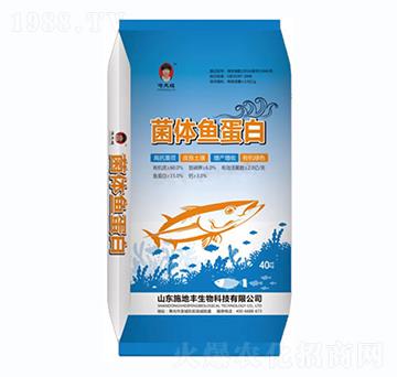 ���w�~����-ʩ���S