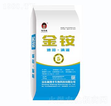 ���ܡ��ι�-���@-ʩ���S