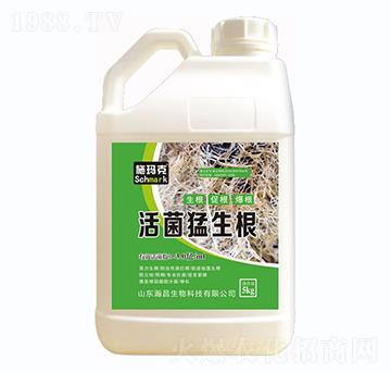 ʩ���ˡ����������-嫲�����