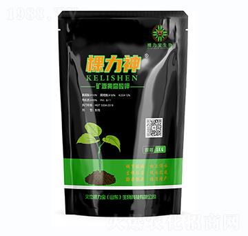 �VԴ�S�����-������-�Ľ��w����