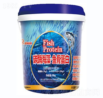 ̼ø���塤�~�ǵ���-ʢ���߿�